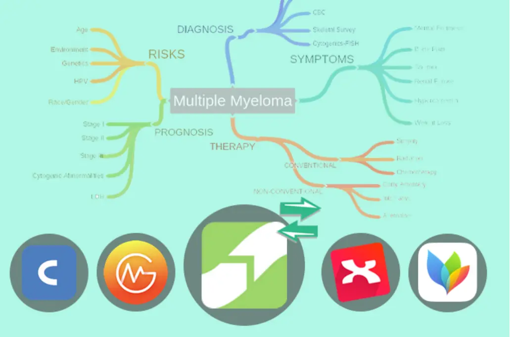 [What is a Mind Map?] The Ultimate Guide to This Amazing Tool